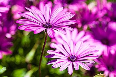 《漫威暗夜之子》新预告视频：玩家角色“猎人”