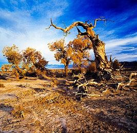 折扣也不忘维护 《博德之门3》官方发布15号热修补丁